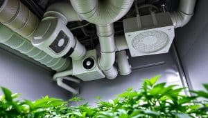 Growbox Ventilator