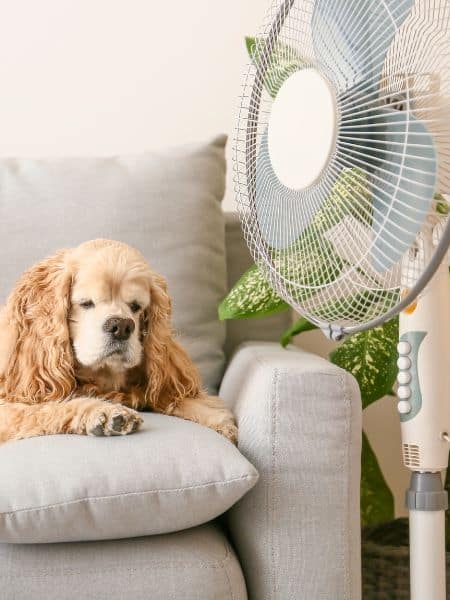 ventilatoren-kaufen.de Wie funktioniert ein Ventilator?